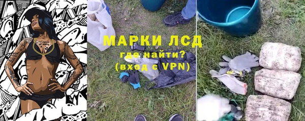 индика Бронницы