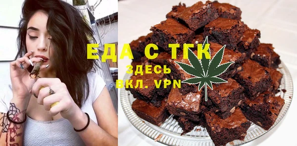индика Бронницы
