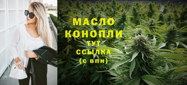 стаф Болотное