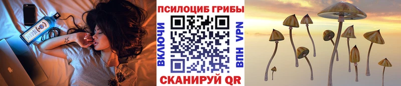 закладка  Венёв  Галлюциногенные грибы прущие грибы 