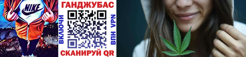 где купить наркоту  Венёв  hydra онион  Бошки Шишки планчик 